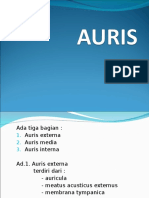 Auris 1