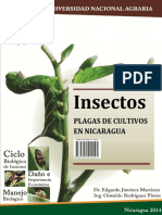 Plagas de Cultivos en Nicaragua