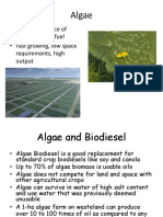Algae Based Biofuels Lecture