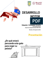 Desarrollo Motor PDF