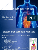 sistempencernaanmanusia-131003011851-phpapp02