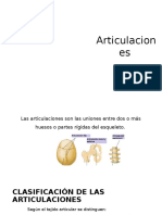 Generalidades de Articulaciones