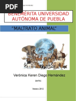 Ensayo acerca del Maltrato Animal