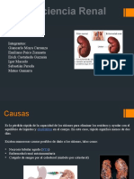 Insuficiencia Renal