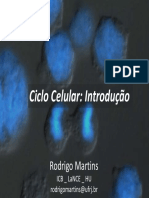 aula_ciclo_celular_rodrigo_martins_2011_2.pdf