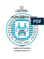 Universidadmiguel Aleman