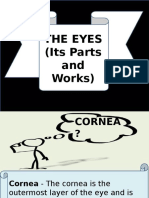 The Eyes (Its Parts and Works)