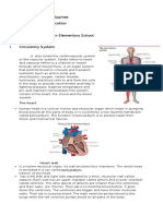 Circulatory System