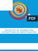 Proyecto de Promocion