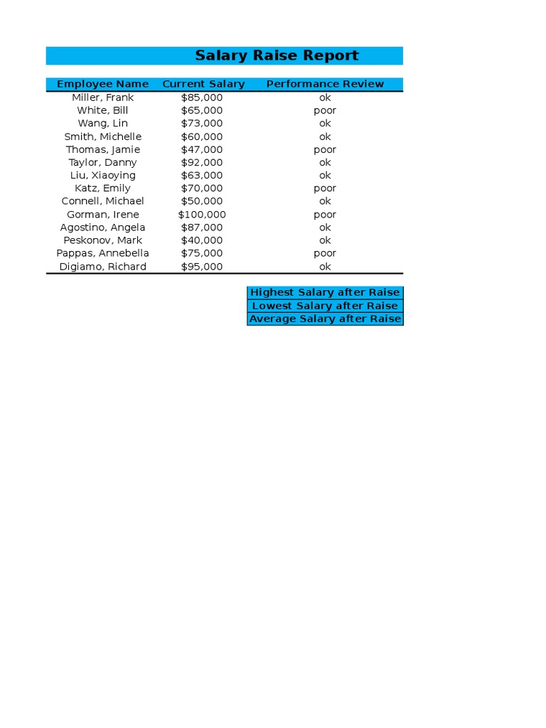 Salary Review and Raise Summary | PDF