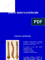 Disco Intervertebrale