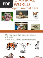 Cl 4 PPT Animal World for Flipped Learning