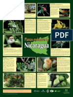 Plantas-endemicas-Nicaragua-afiche.pdf