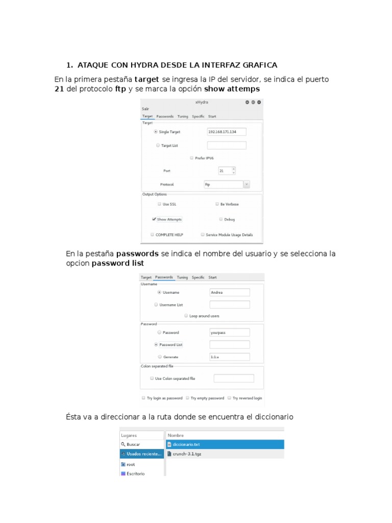 Ataque FTP con Hydra desde GUI | PDF | Informática