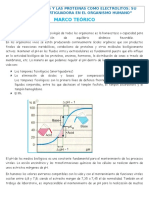 Aminoácidos y proteínas como amortiguadores fisiológicos