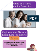 Clase 6 Reproductor Femenino