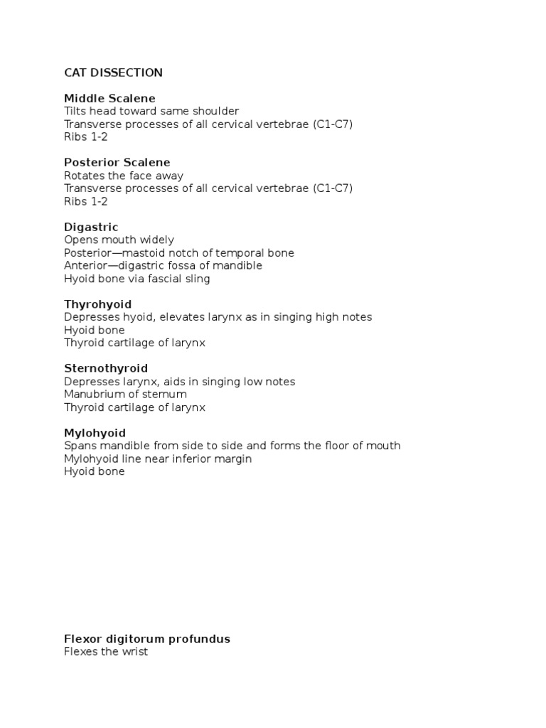 Cat Dissection PDF