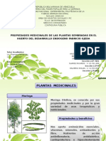 Laminas de Plantas Medicinales