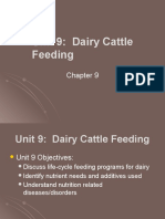 Unit Nutrition Dairy Feed