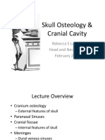 Skull Osteology & Cranial Cavity - TUSK