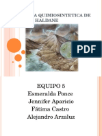 EXPO_TEORIA_QUIMIOSINTETICA_DE_OPARIN_Y_HALDANE2.ppt