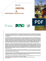 Gestión Forestal Sostenible-Biodiversidad y Medios de Vida