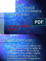 01 Descripcion de La Anatomia Pelvica Normal ETV Por Ecografia Tran 1