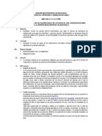 Directiva Aprobacion Valorizaciones