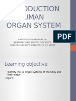 To Human Organ System: Anggelia Puspasari, DR Anatomy and Hystology Dept. Medical Faculty University of Jambi