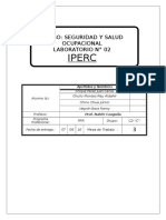 Seguridad y Salud Informe