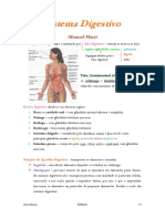 Sistema Digestivo Humano