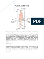 Planos Anatomicos