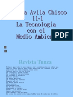 Diapositivas Milena Avila