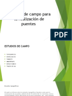 Estudios de Campo para La Realización de Puentes