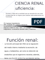 Semana 6 Insuficiencia Renal Aguda Unprg