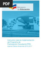Instructivo PPE Sierra Amazonia 2016 2017
