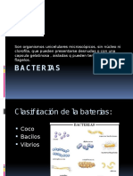 07. Bacterias