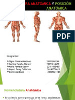Nomenclatura Anatómica y Posición Anatómica