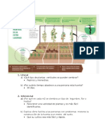 Trabajo de Comuncacion