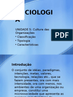 SOCIOLOGIA - Cultura Das Organizações - c5