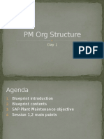 PM Org Structure