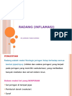 Radang (Inflamasi)