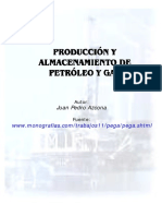 Produccion_y_Almacenamiento_de_Petroleo_y_Gas.pdf