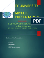 Amity University Micelle Presentation: Subhrangsu Sekhar Dey in Presences of