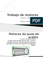 Motores de Jaula de Ardilla