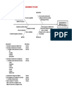 INFORME