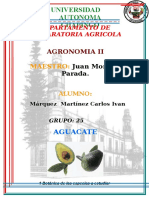 AGUACATE.doc
