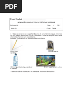 avaliac3a7c3a3o-diagnc3b3stica-cic3aancias-6c2ba-ano (1).doc