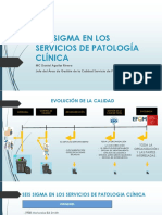 seis sigma en los servicios de patologia clinica.pdf