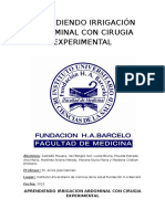 Trabajo Cirugia Experimental - para Mesclagem